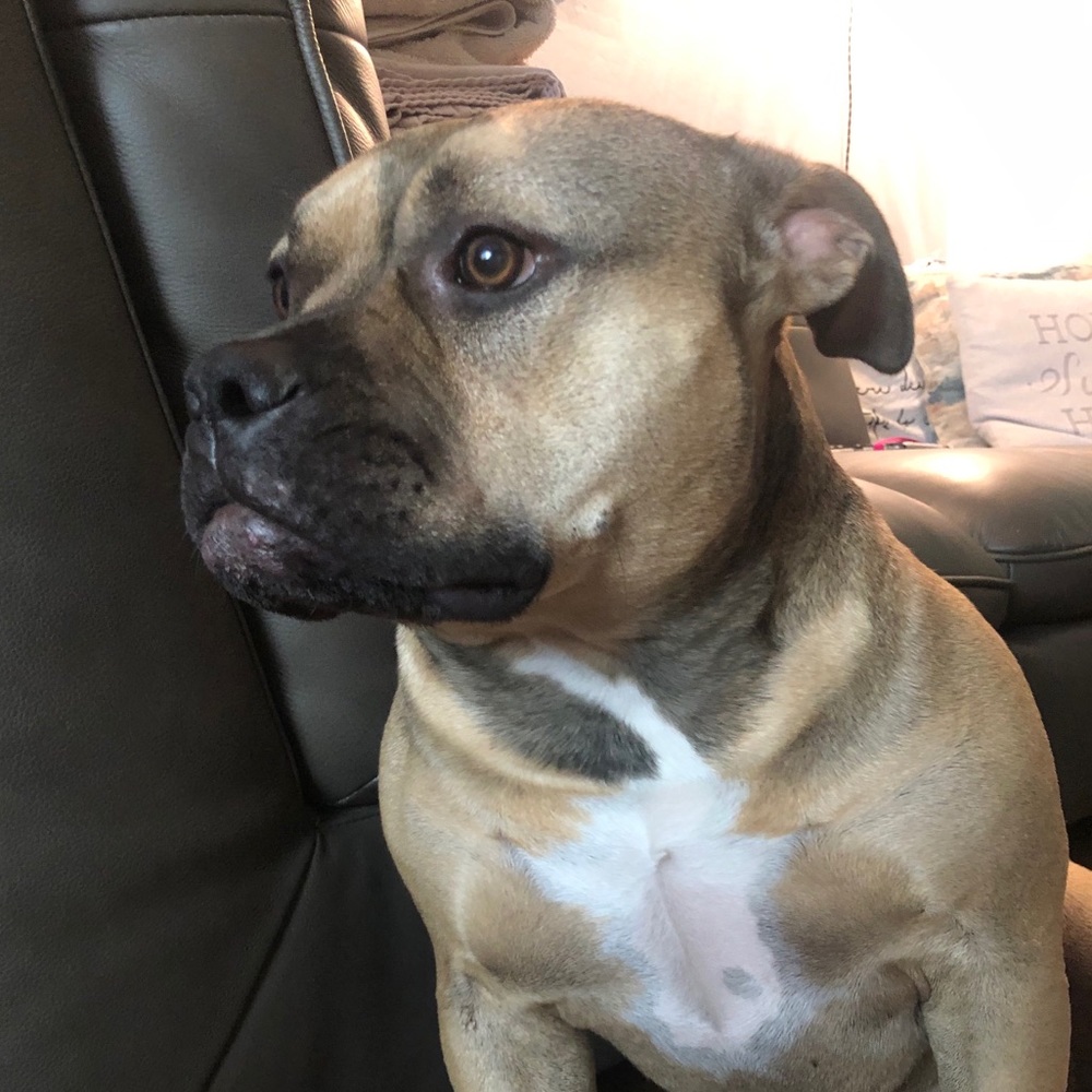 Meet your Posher, Lucy